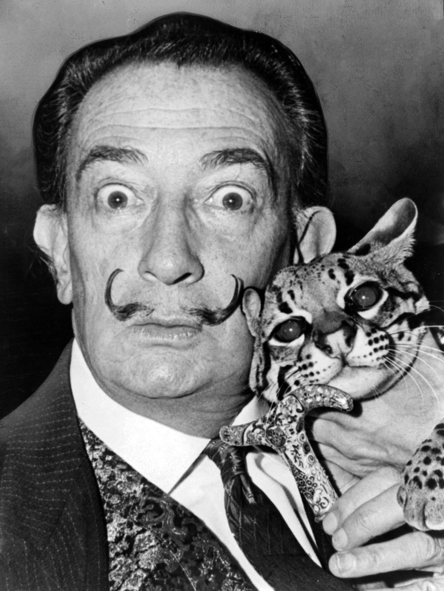 Salvador Dali pet