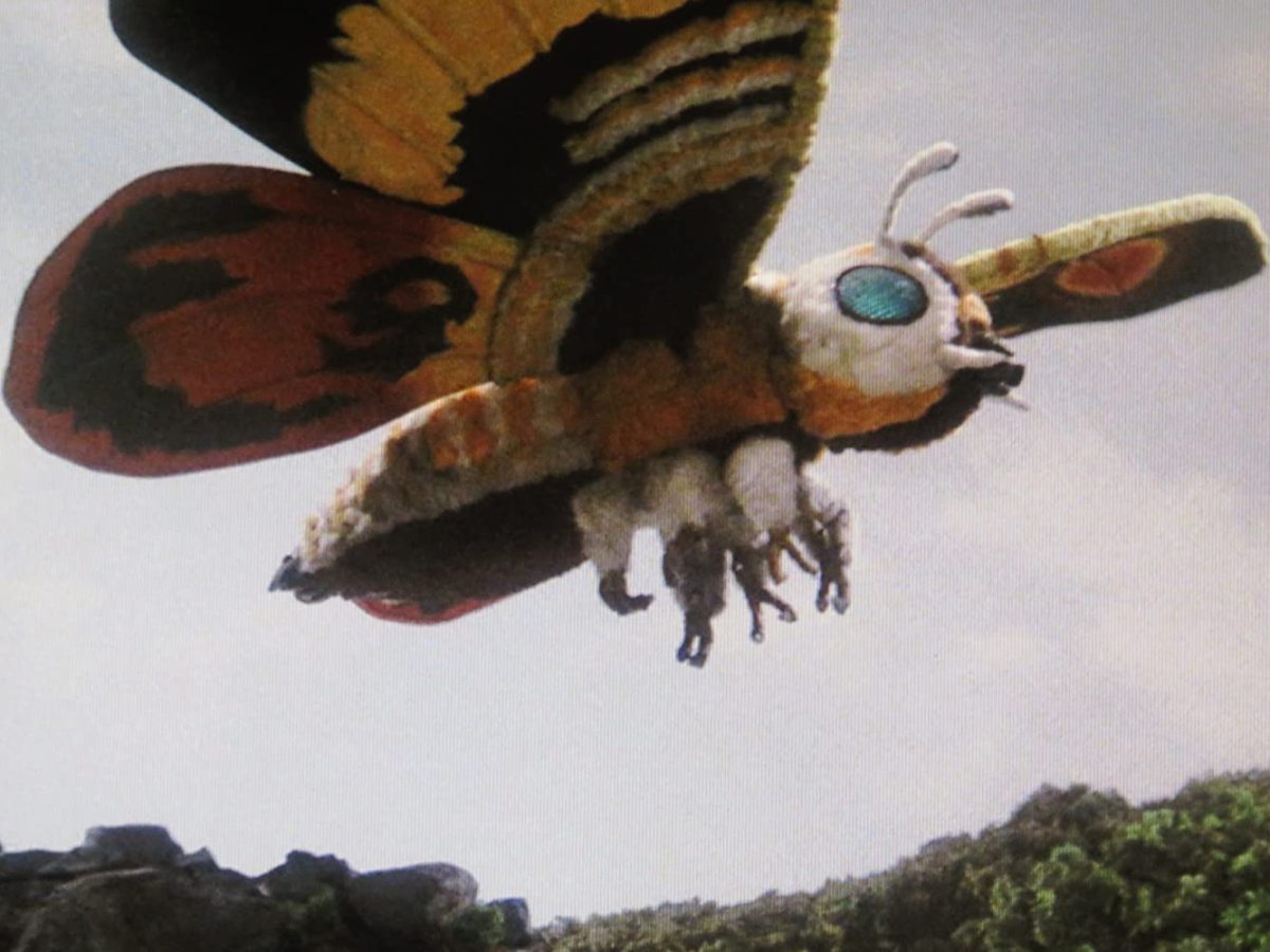 mothra film