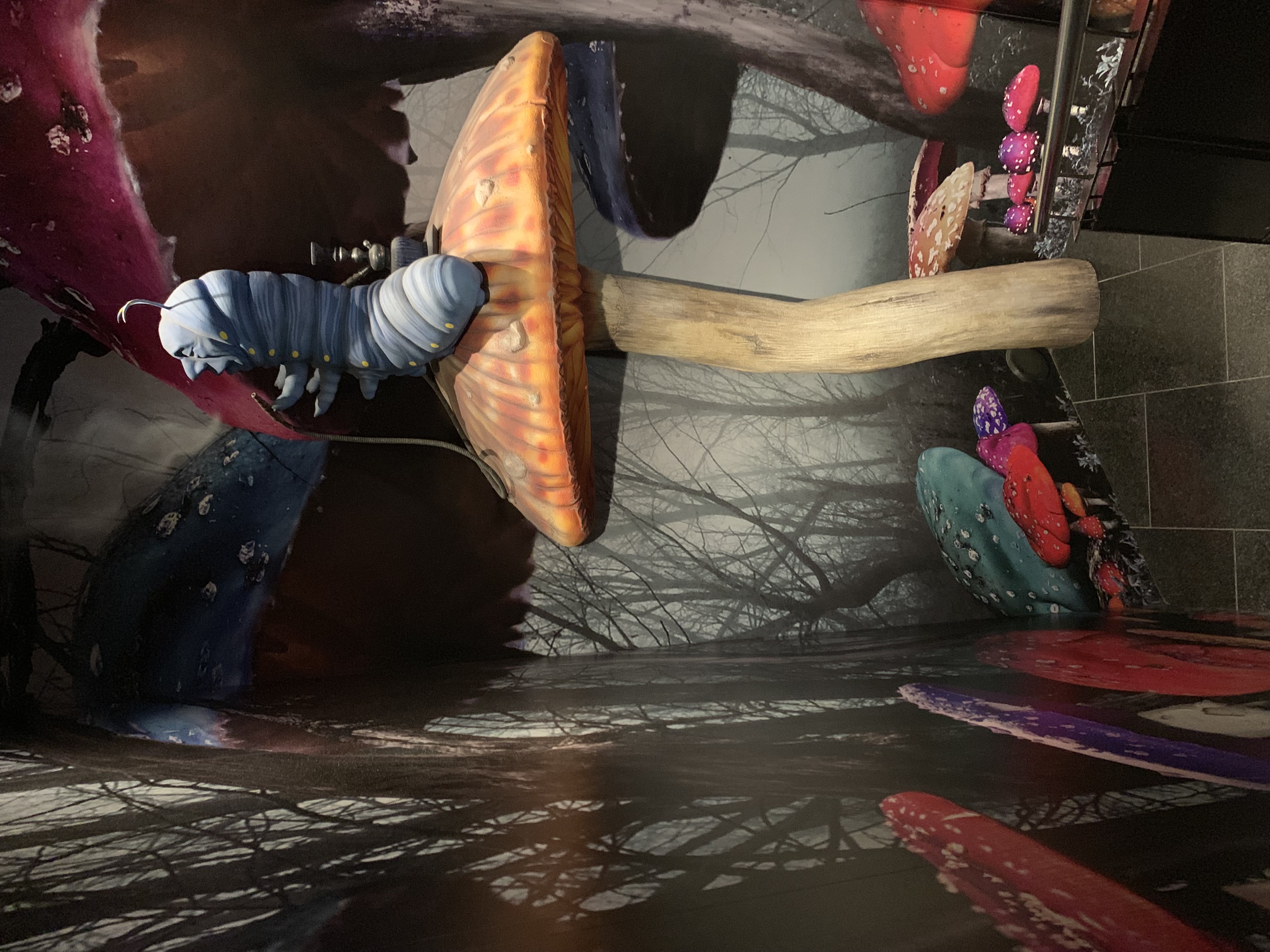 alice on wednesday shop