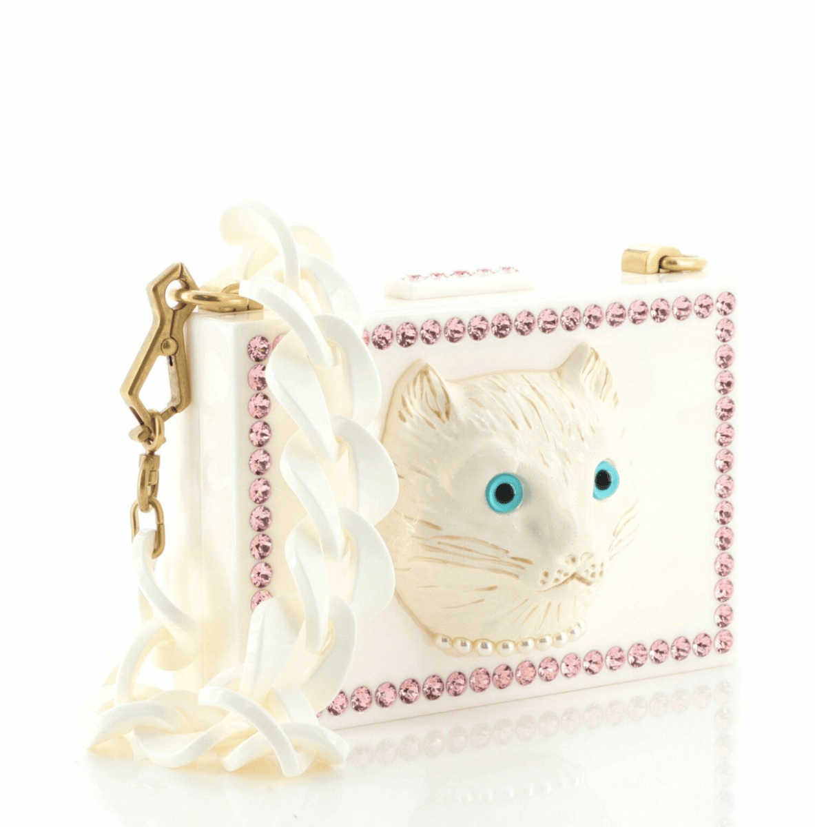 gucci plexiglass cat bag