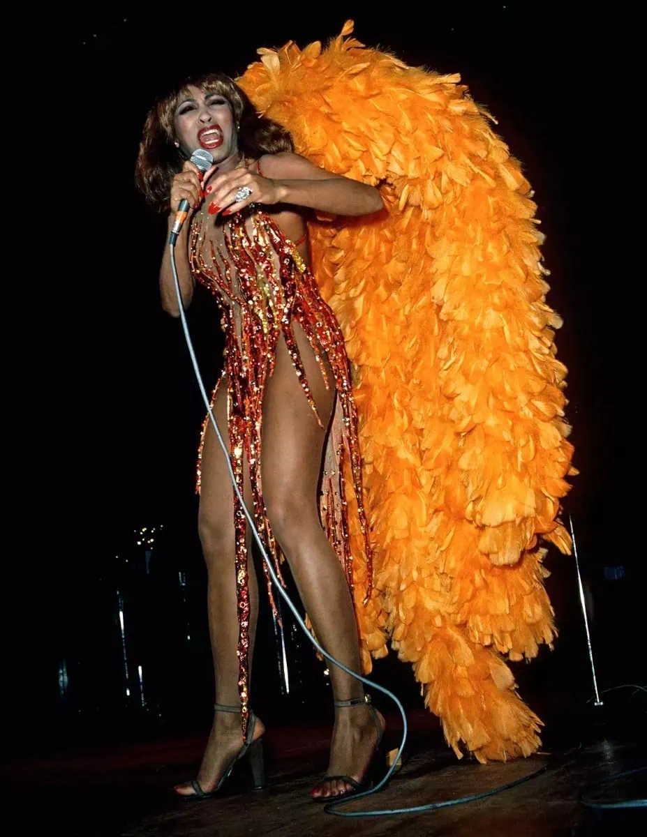 tina turner's fashion