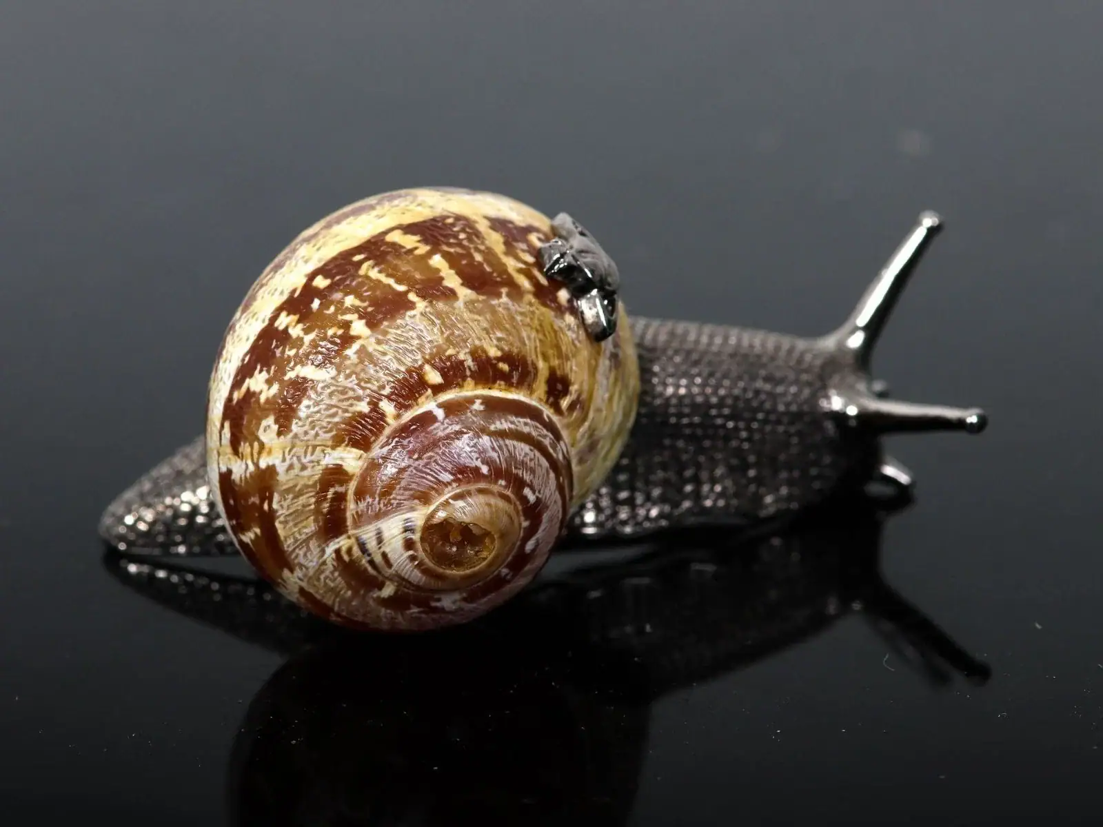 Vivienne Westwood Snail Jewelry